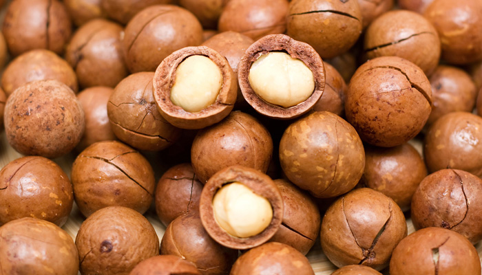 quality-macadamia-nut